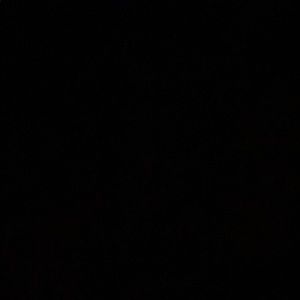 Meet your Posher, Dustin